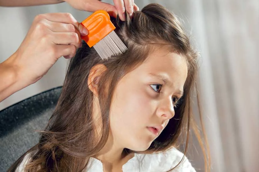 how-effective-are-natural-lice-treatments